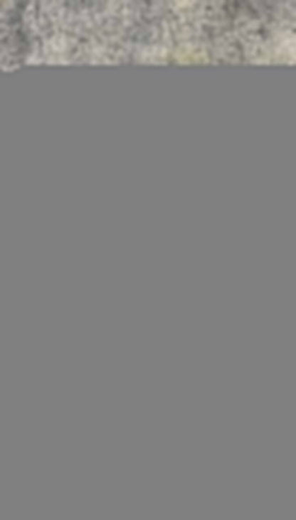 Chándal Lacoste (nuevo) "Baja calidad"